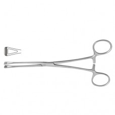 Scheibe (Collin) Atrauma Organ Grasping Forceps Wide Jaw Stainless Steel, 23 cm - 9" Scheibe (Collin) Atrauma Organ Grasping Forceps Wide Jaw Stainless Steel, 23 cm - 9"